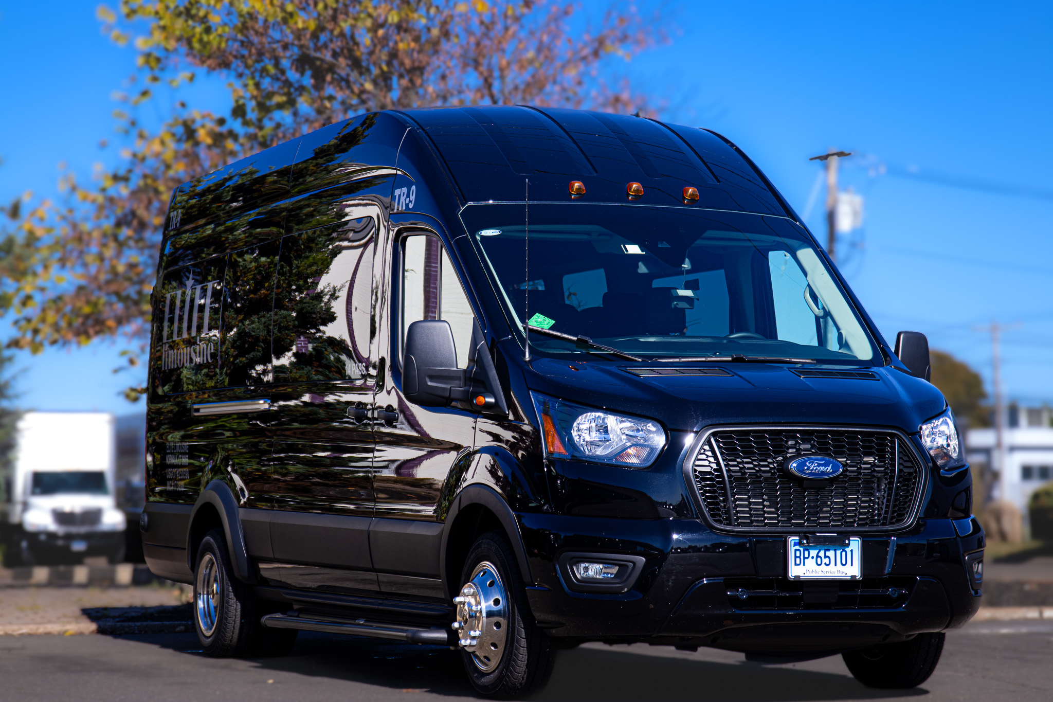 14 Passenger ford Transit at Elite Limoct