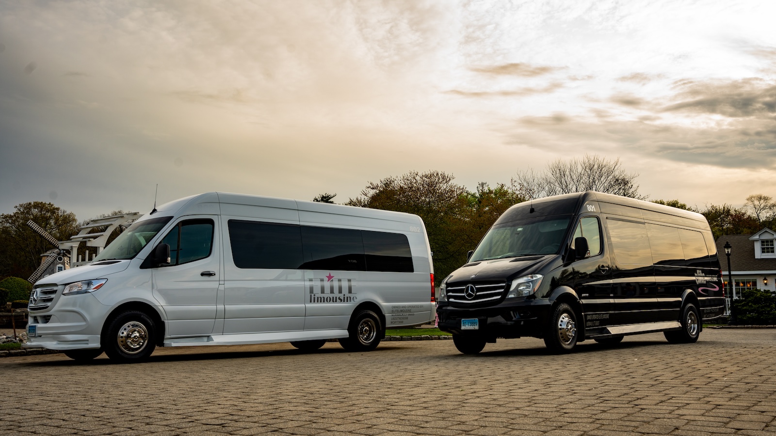 12 Passenger Mercedes Sprinter Van