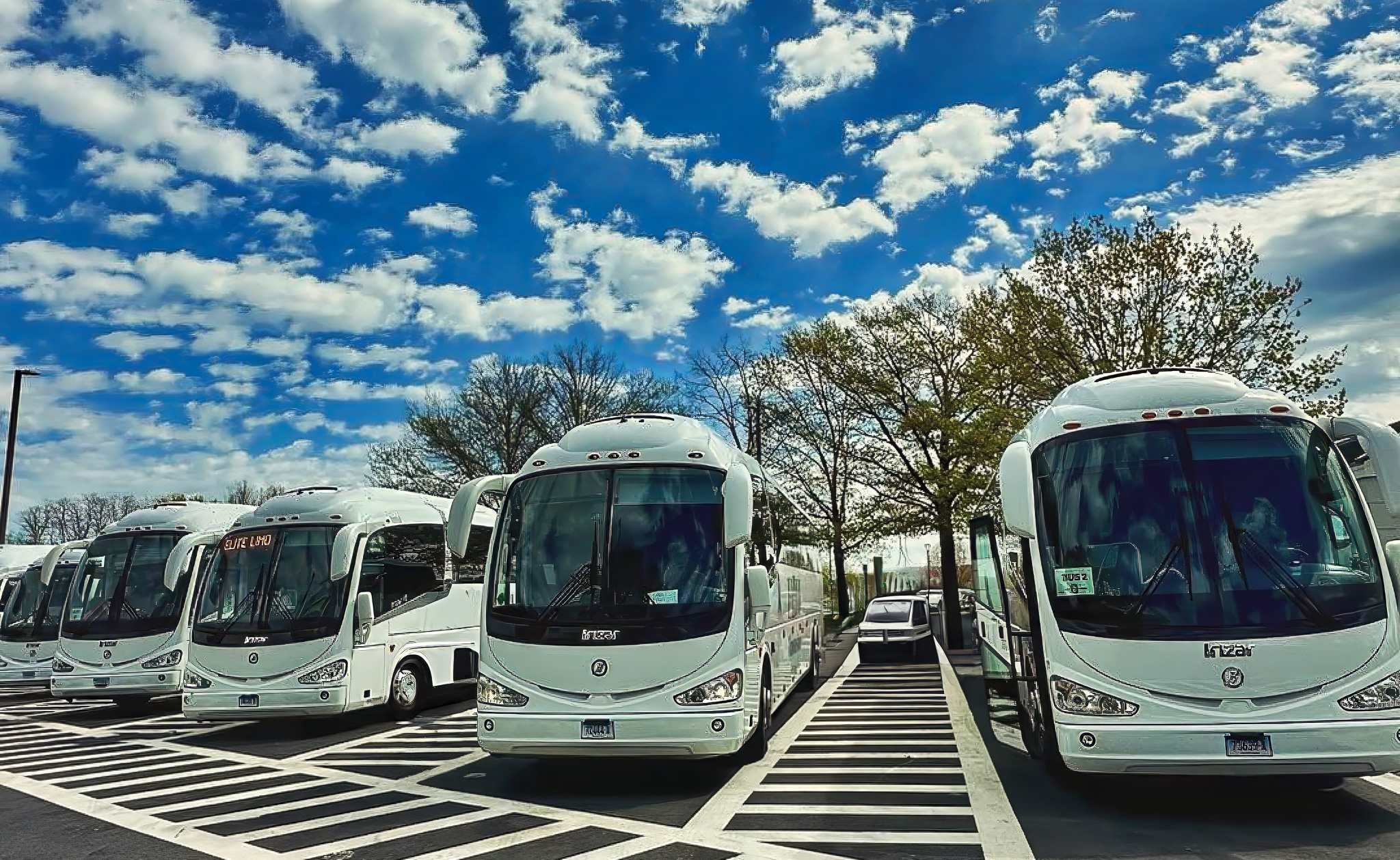 Elite Limousine Charter Bus Fleet